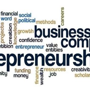 Entrepreneurship Consulting - Intermediate